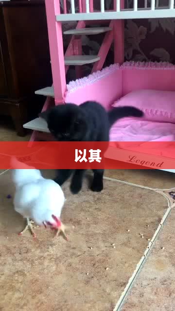 喵三国历史背景概览