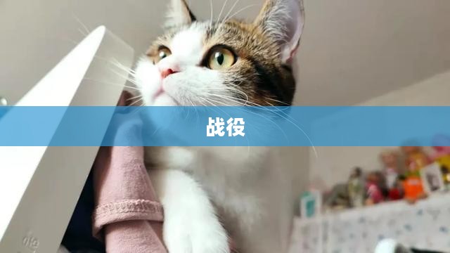 喵三国的历史背景概述