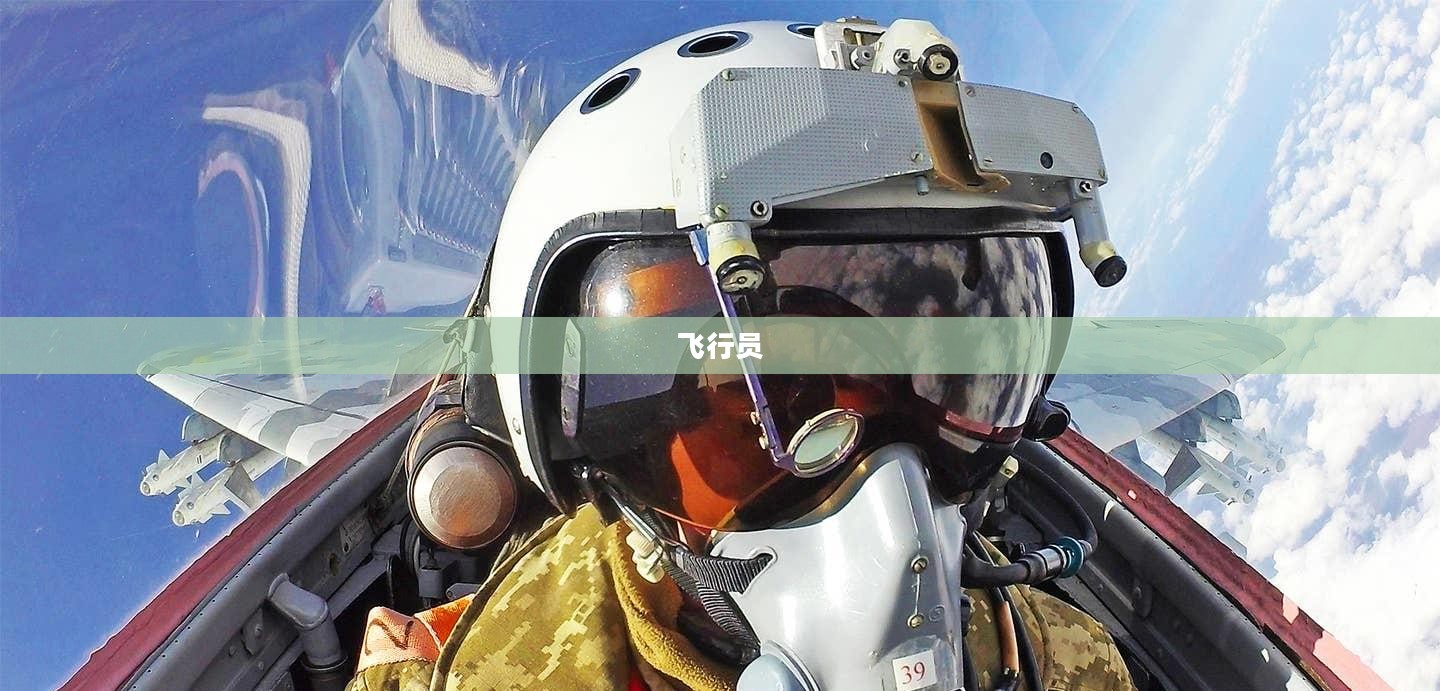 蓝天之巅，空中决战3终极对决