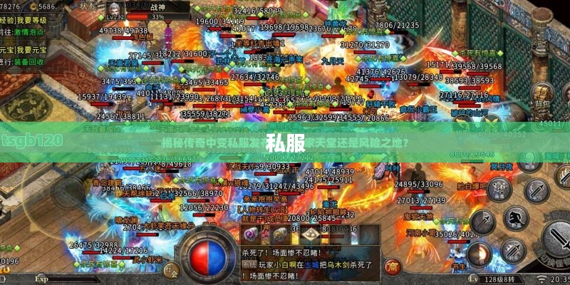 新开天堂2私服，探寻未知世界的无限可能