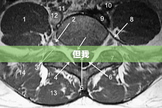 三国霸业2序列号获取方法 三国霸业2序列号获取方法