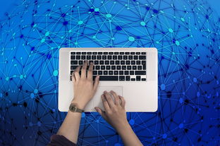 ImToken图标版本深度解析与探索之旅，揭示背后的设计理念与特色