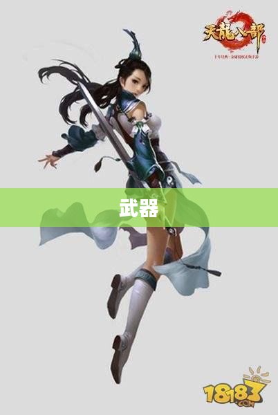 气功师武器选择攻略，全方位指南解析