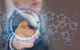 ImToken钱包，实名信息的重要性及其实施管理策略