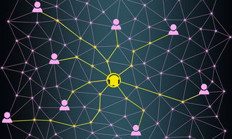 ImToken官网客服电话，连接用户与数字世界的沟通纽带