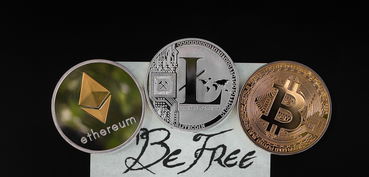ImToken数字货币钱包的投资价值深度解析，收益与前景展望展望其未来发展潜力