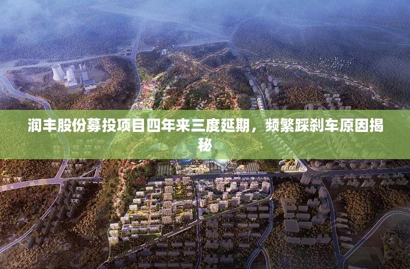 润丰股份募投项目四年来三度延期，频繁踩刹车原因揭秘