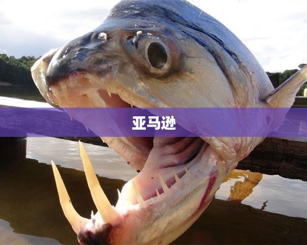 美股盘前动态，三大期指走势分化，百度文心新模型助力盘前上涨，辉瑞靶向药阿昔替尼中国获批提振市场信心