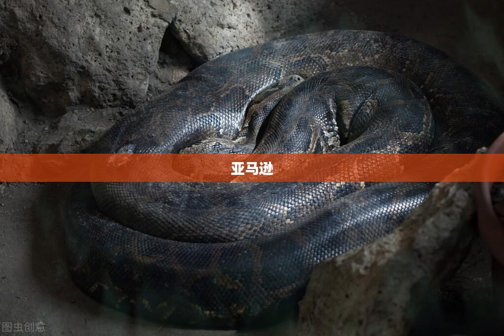 美股盘前动态,三大期指涨跌不一,百度发布文心新模型盘前上涨,辉瑞靶向药阿昔替尼在中国获批获批消息提振市场信心 美股盘前动态,三大期指涨跌不一,百度发布文心新模型盘前上涨,辉瑞靶向药阿昔替尼在中国获批获批消息提振市场信心
