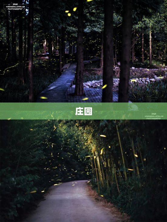 摩尔庄园萤火草获取攻略大全 摩尔庄园萤火草获取攻略大全