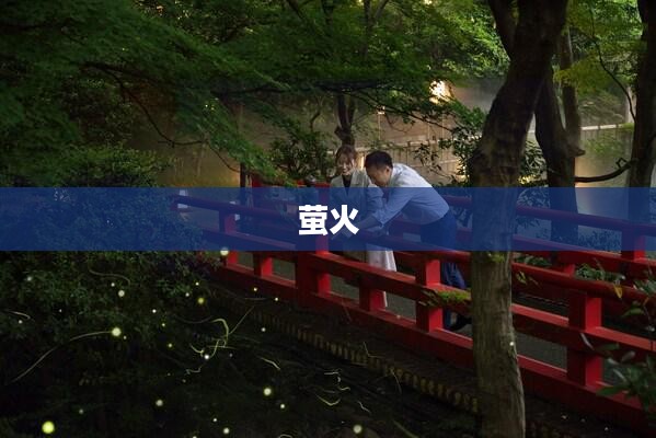 摩尔庄园萤火草获取攻略详解