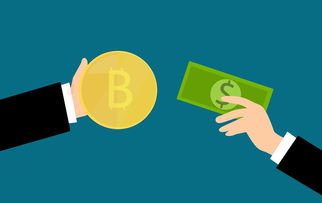 ImToken收钱链接，数字货币收款的新选择