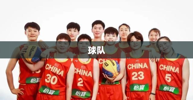 篮球经理范特西，幕后英雄引领冠军之师之路