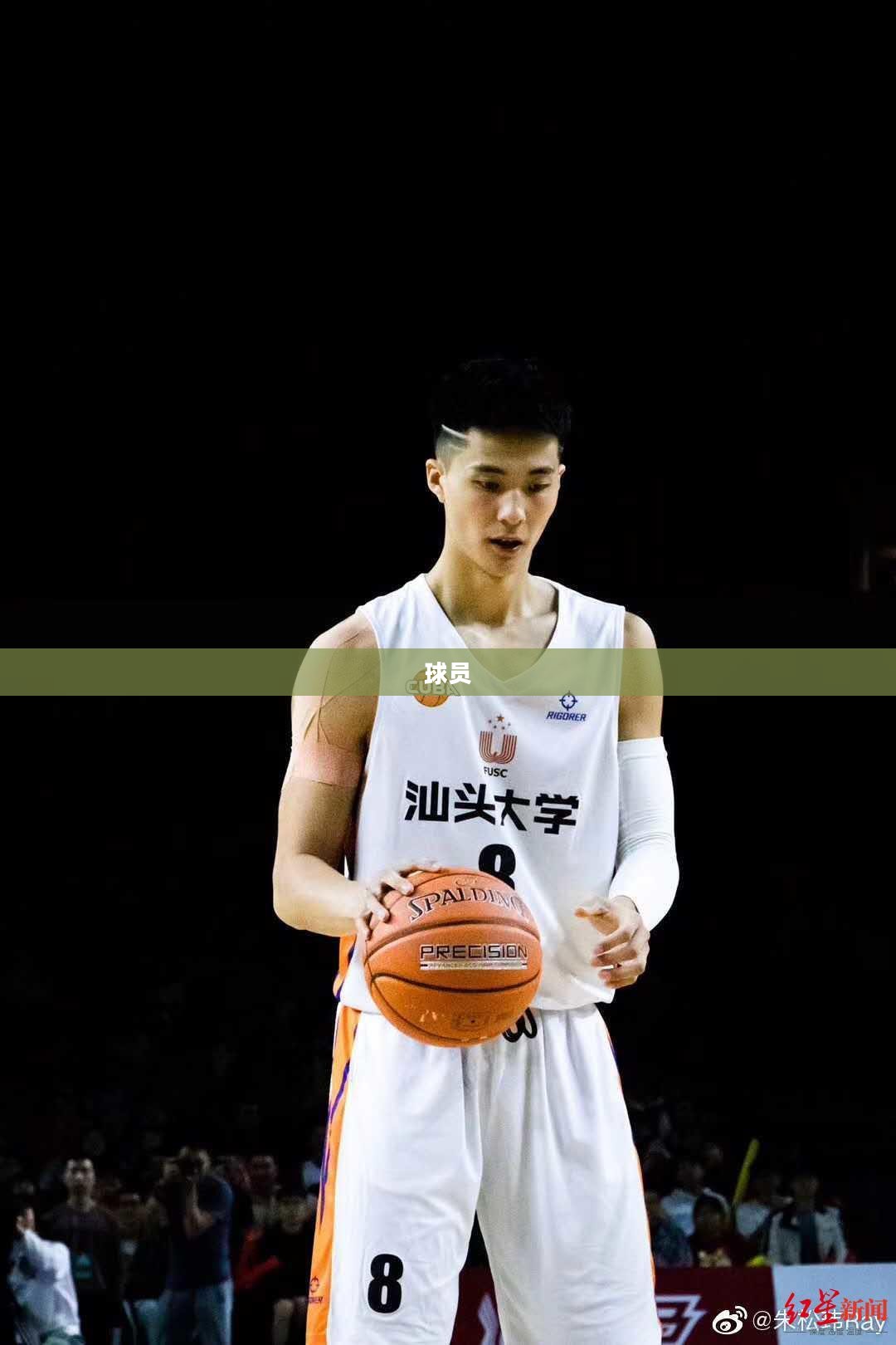 篮球经理范特西,幕后英雄打造冠军之师之路 篮球经理范特西,幕后英雄打造冠军之师之路