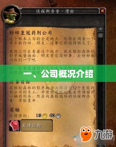 公司概况全面介绍