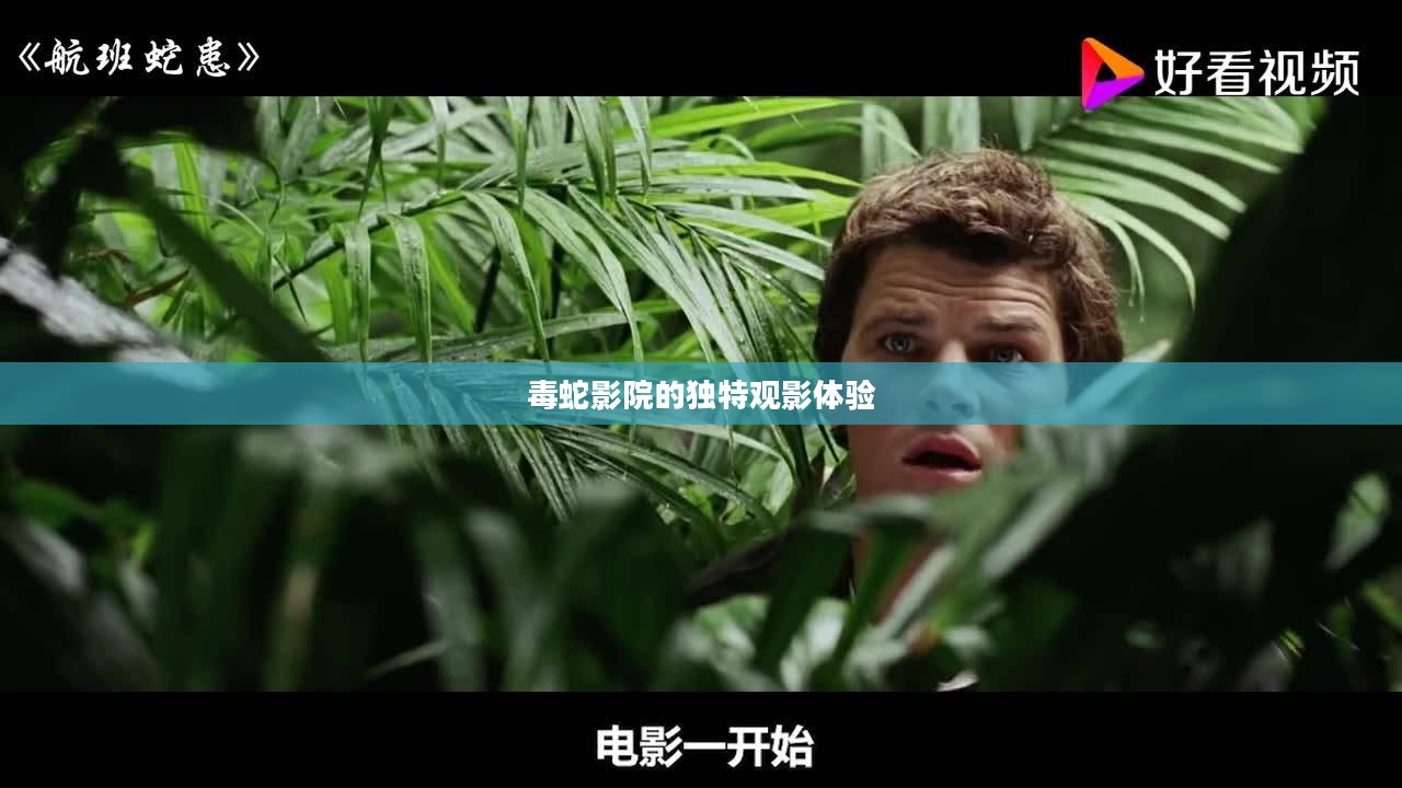 毒蛇影院，沉浸式观影之旅