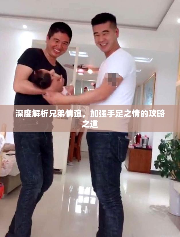 深度解析兄弟情谊,加强手足之情的攻略之道 深度解析兄弟情谊,加强手足之情的攻略之道