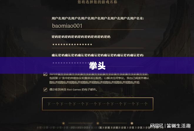 拳头账号注册官网指南，快速注册步骤全解析
