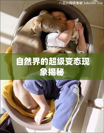 揭秘自然界的超级变态现象