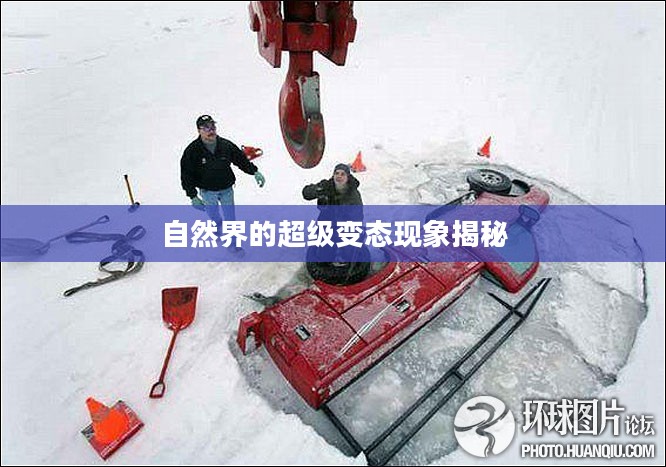 自然界的超级变态现象揭秘 自然界的超级变态现象揭秘