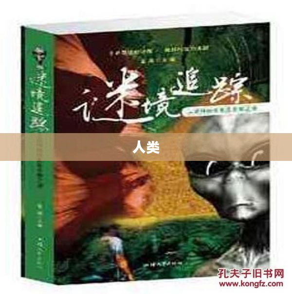 一、故事起源与背景概述