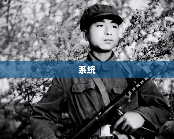 战友招募系统概览 战友招募系统概览