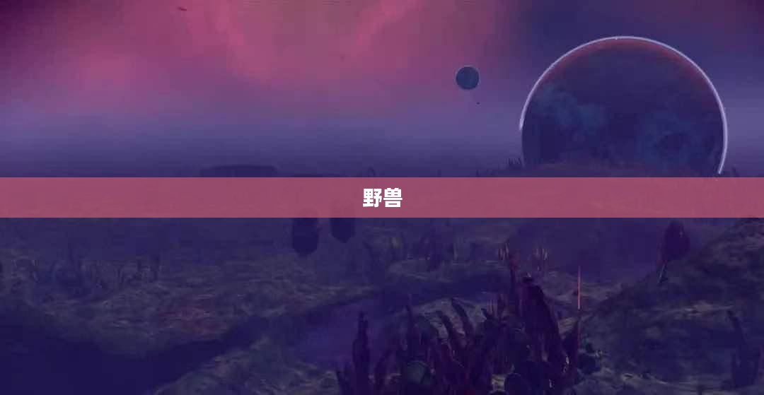 美女与野兽小游戏攻略，探索童话世界的奥秘
