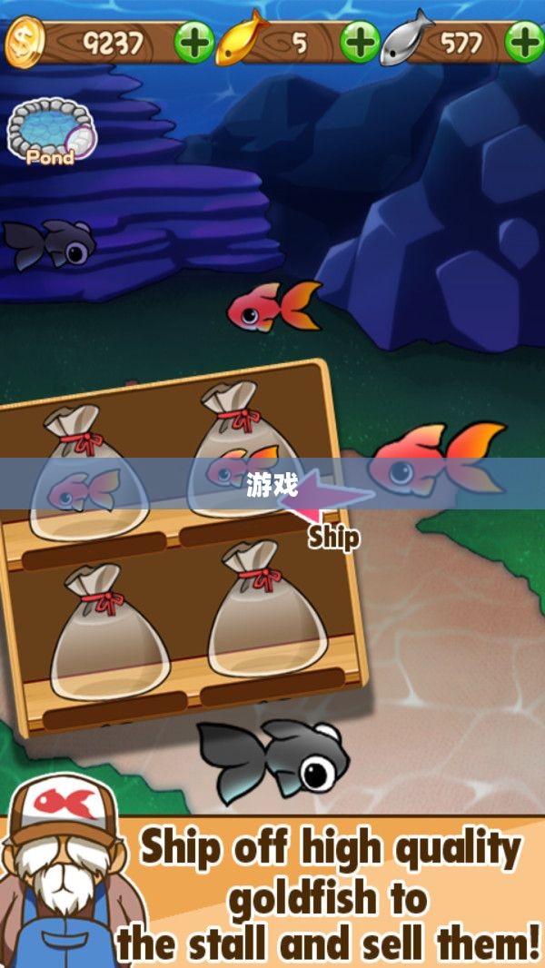 疯狂钓鱼中文版游戏攻略概览