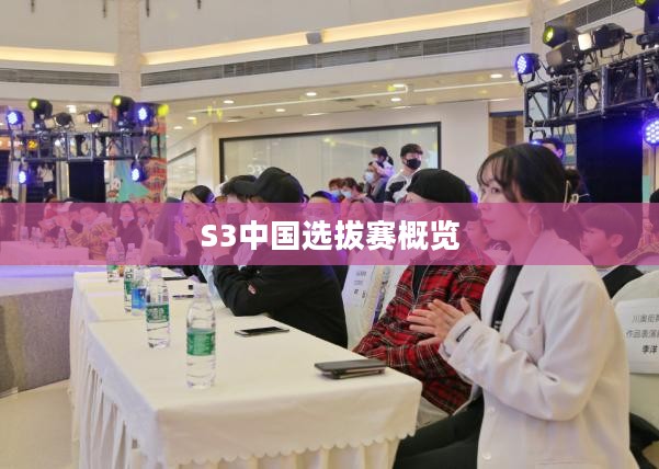 S3中国选拔赛概览
