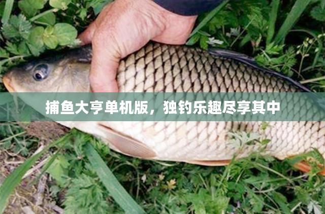 捕鱼大亨单机版,独钓乐趣尽享其中 捕鱼大亨单机版,独钓乐趣尽享其中