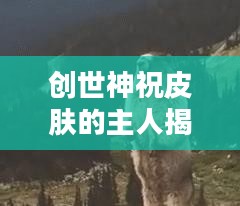 创世神皮肤主人揭晓，神秘面纱下的荣耀时刻