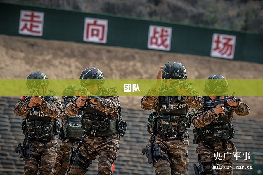 守望先锋303战术深度解析