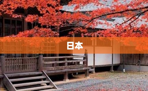 日本大米价格高涨引发游客赴韩购买,游客吐槽日本米价过高 日本大米价格高涨引发游客赴韩购买,游客吐槽日本米价过高