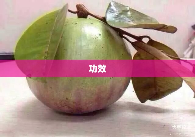 椰蛋树的生长环境及特性概述