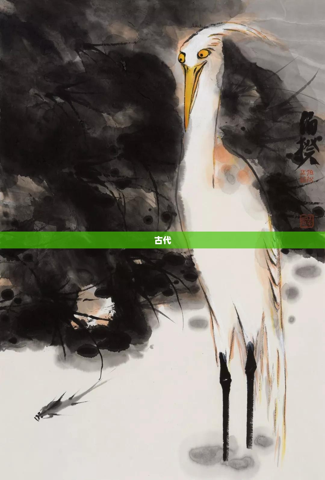 一、关于龙之怒的起源与象征意义 一、关于龙之怒的起源与象征意义
