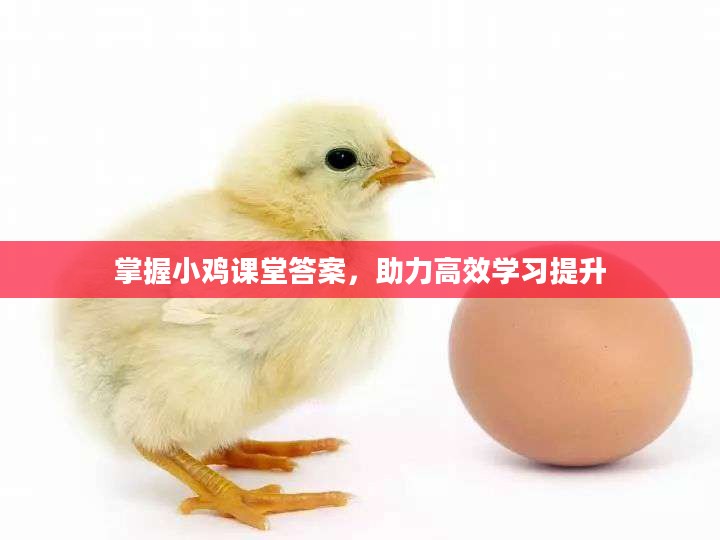 掌握小鸡课堂答案,助力高效学习提升 掌握小鸡课堂答案,助力高效学习提升