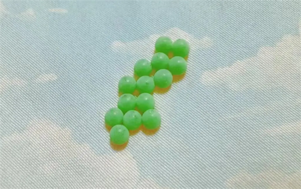 臭屁虫在衣物上产卵引发过敏反应，专家警告，避免触碰其有毒汁液