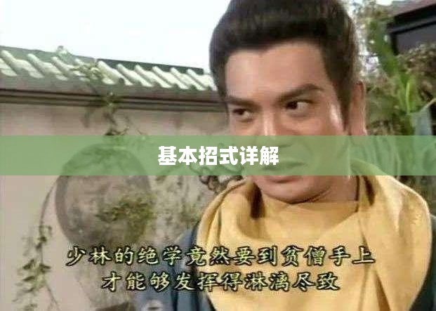 基本招式详解指南