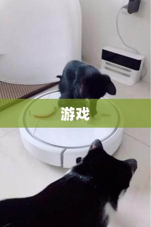 轻松愉悦的休闲单机游戏推荐汇总