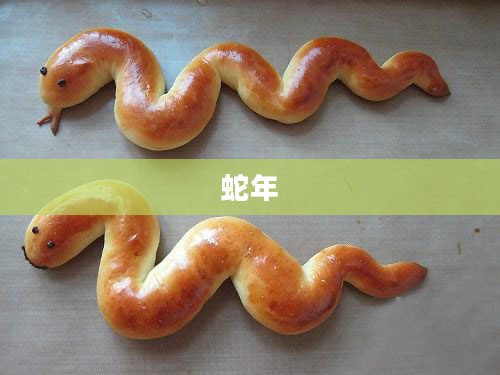 蛇年限定的独特魅力,珍稀时刻的非凡风采 蛇年限定的独特魅力,珍稀时刻的非凡风采