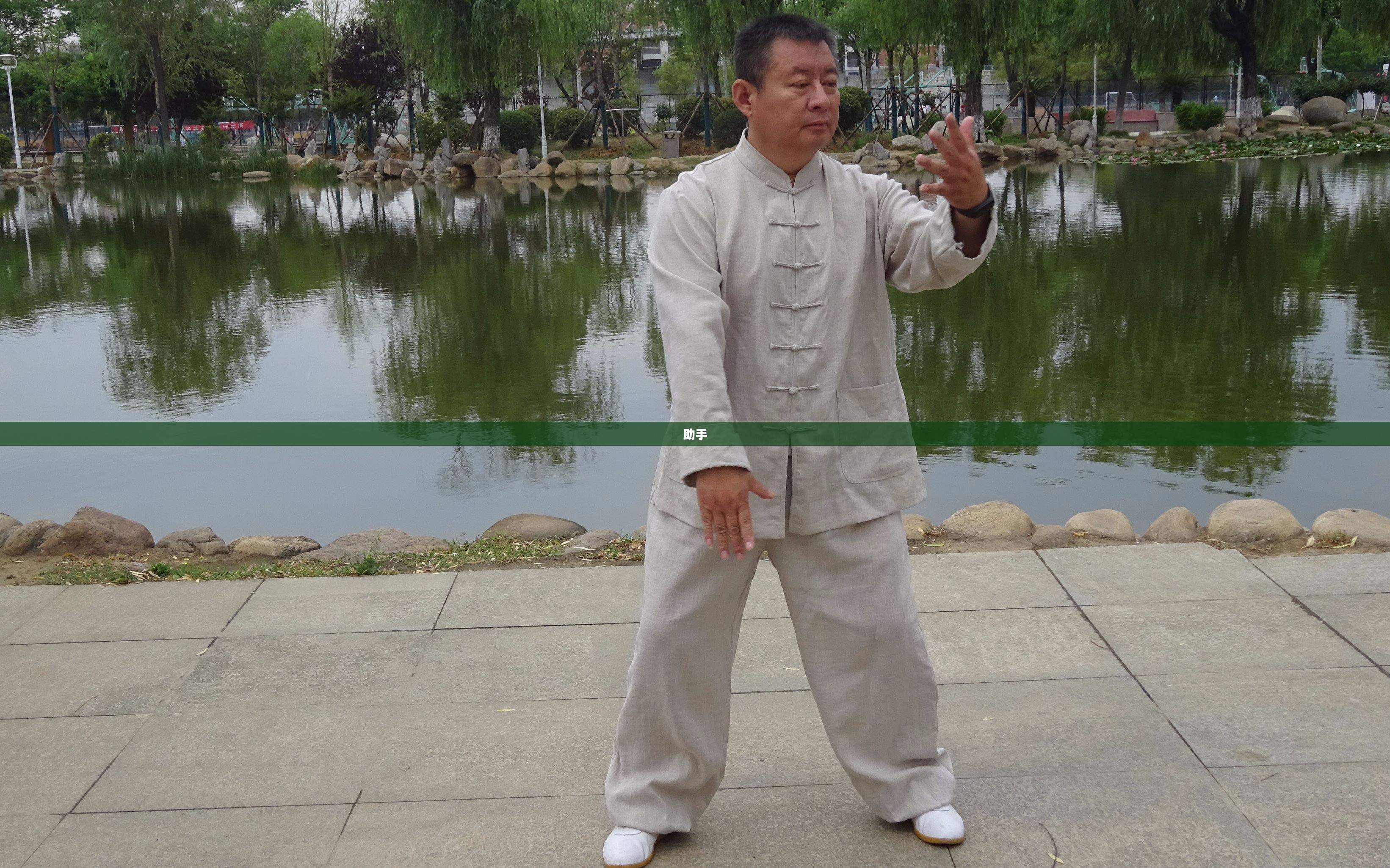 太极助手，探索阴阳平衡的艺术之道