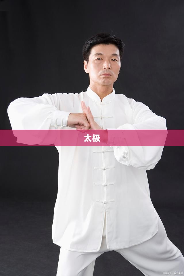 太极助手,掌握阴阳平衡的艺术之道 太极助手,掌握阴阳平衡的艺术之道
