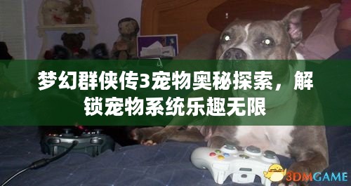 梦幻群侠传3，宠物奥秘大揭秘，无限乐趣等你解锁！