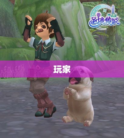 梦幻群侠传3宠物奥秘探索,解锁宠物系统乐趣无限 梦幻群侠传3宠物奥秘探索,解锁宠物系统乐趣无限
