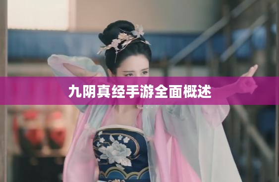 九阴真经手游详解概览