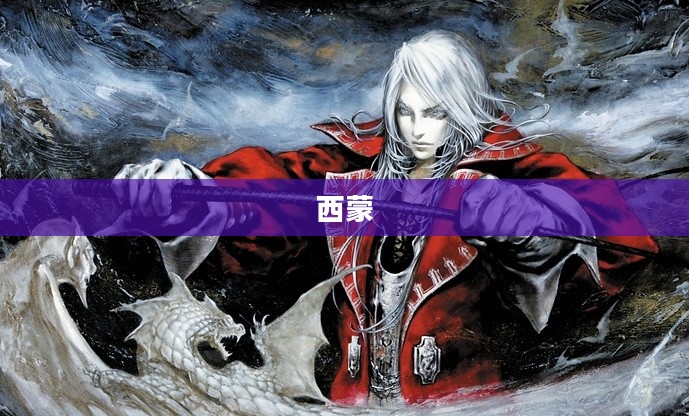 恶魔城晓月终极攻略指南
