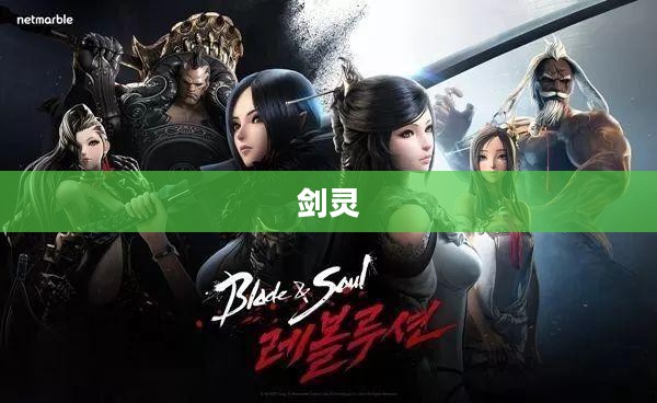 剑灵激活码问题解析