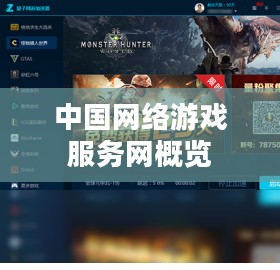 中国网络游戏服务网全面解析