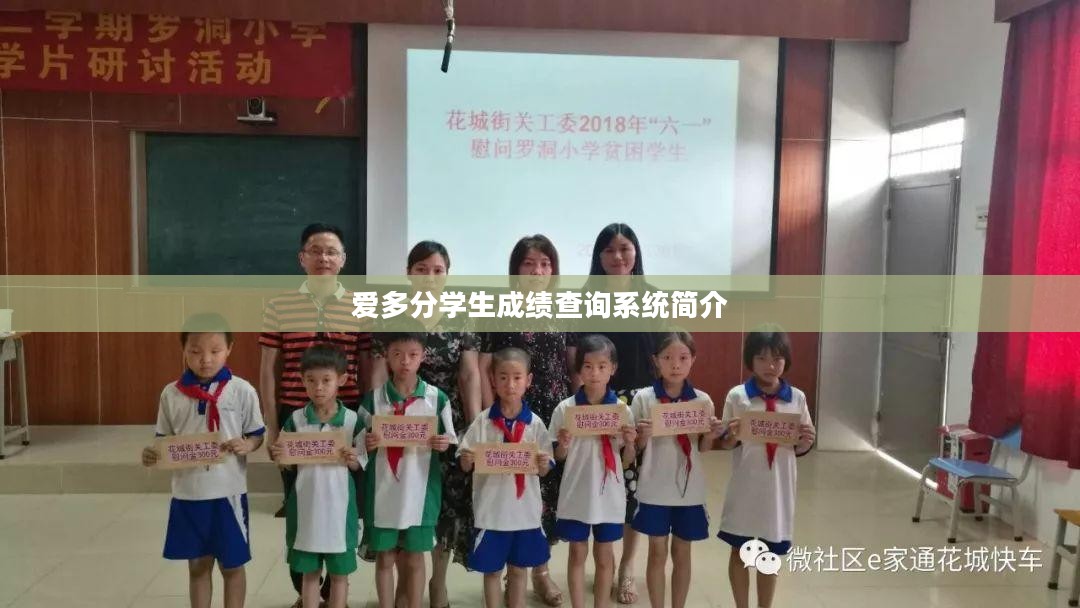 爱多分学生成绩查询系统概览