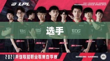 决战平安京职业联赛，电竞盛宴的全面解析